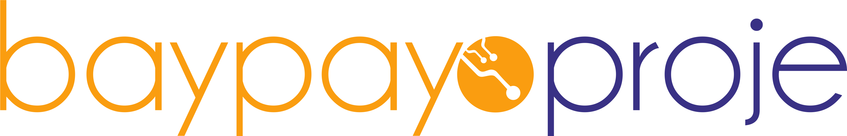 baypayo proje